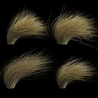 Wild Dry Grass Bent By The Wind