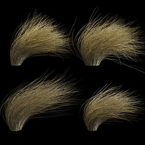 Wild Dry Grass Bent By The Wind