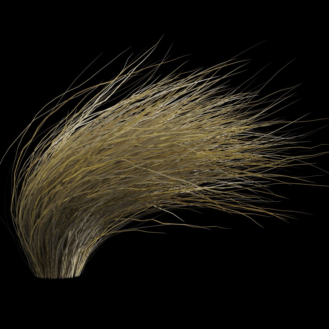 Bushes Wild Dry Grass 3D Model - TurboSquid 1590614