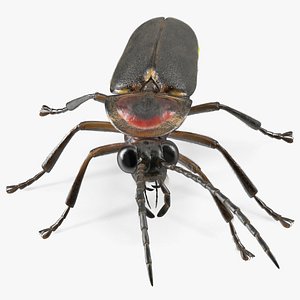 Glowing Big Dipper Firefly Crawling Pose Fur