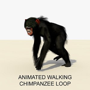 Animated Walking Chimpanzee 1