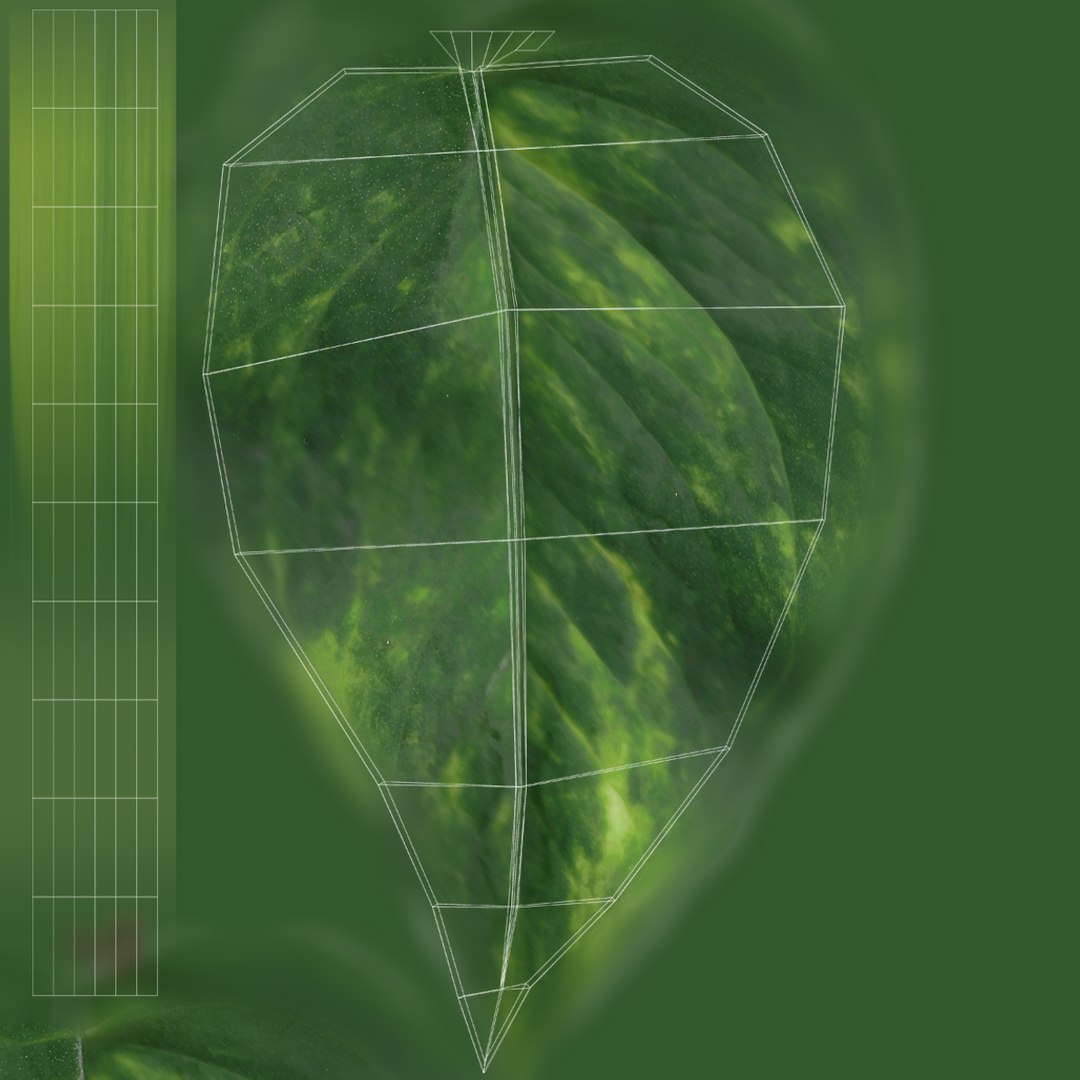 golden pothos plant hanging 3D model https://p.turbosquid.com/ts-thumb/yl/i4F25b/NB5MHenz/leafuvpreview/jpg/1573320471/1920x1080/fit_q87/f7537453eb5458f6f37e9920e87d1f8f1c7fdfda/leafuvpreview.jpg