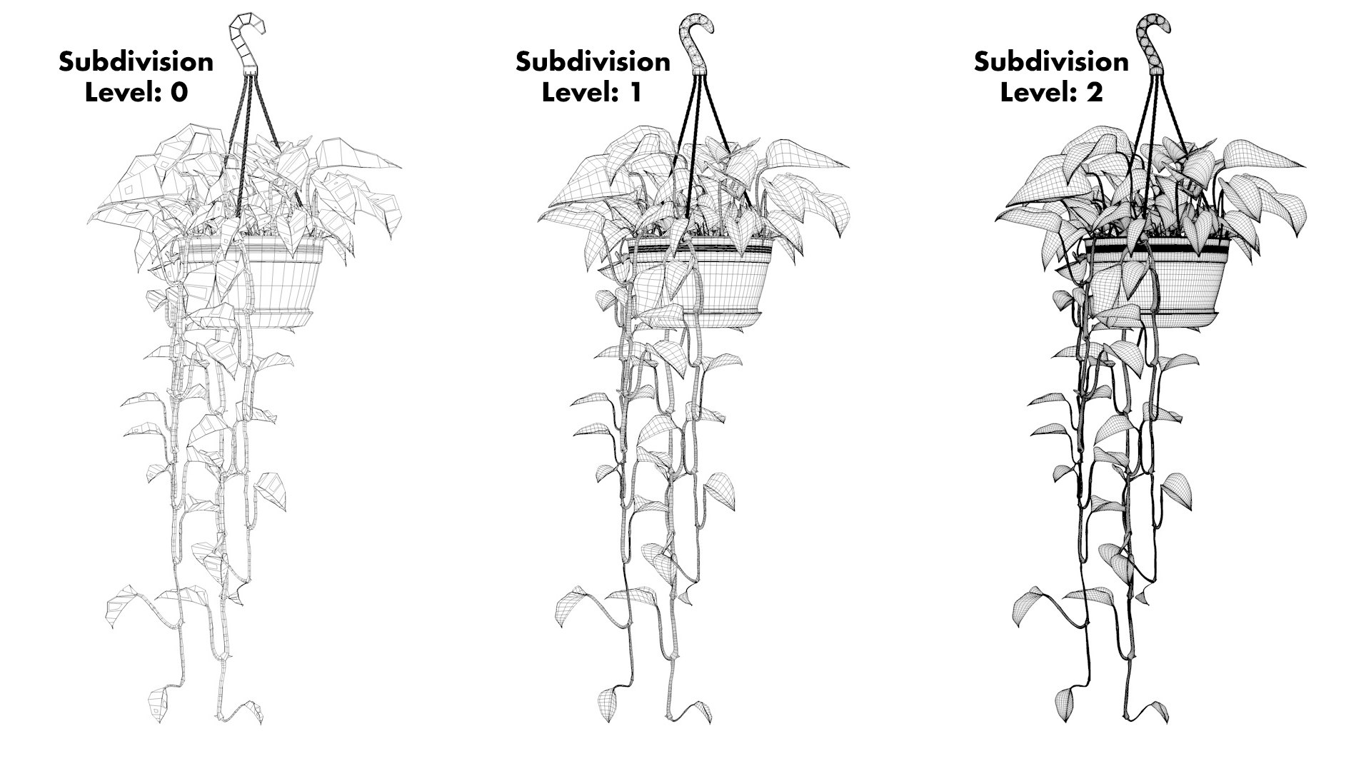 golden pothos plant hanging 3D model https://p.turbosquid.com/ts-thumb/yl/i4F25b/WOySncbE/goldenpothos_subdcompare1/jpg/1573320403/1920x1080/fit_q87/cebe198f93fc5216adfbb4c5a5ee26dd65e938ce/goldenpothos_subdcompare1.jpg