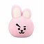 Cooky BT21