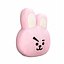 Cooky BT21