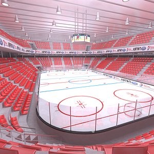 interior ice hockey 3D