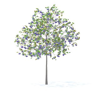 3D plum tree 3 2m