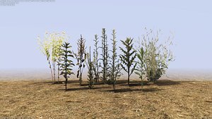 3D pack small plant