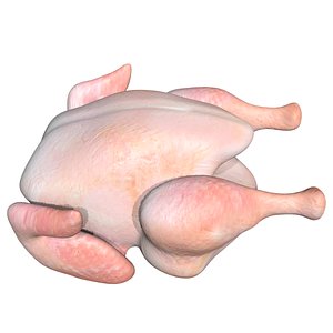 3D Chicken