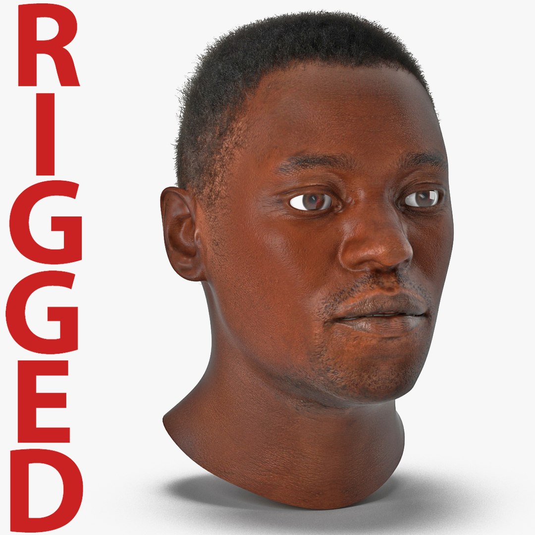 African American Male Head with Hair Rigged 2 3D Model 3D model preview