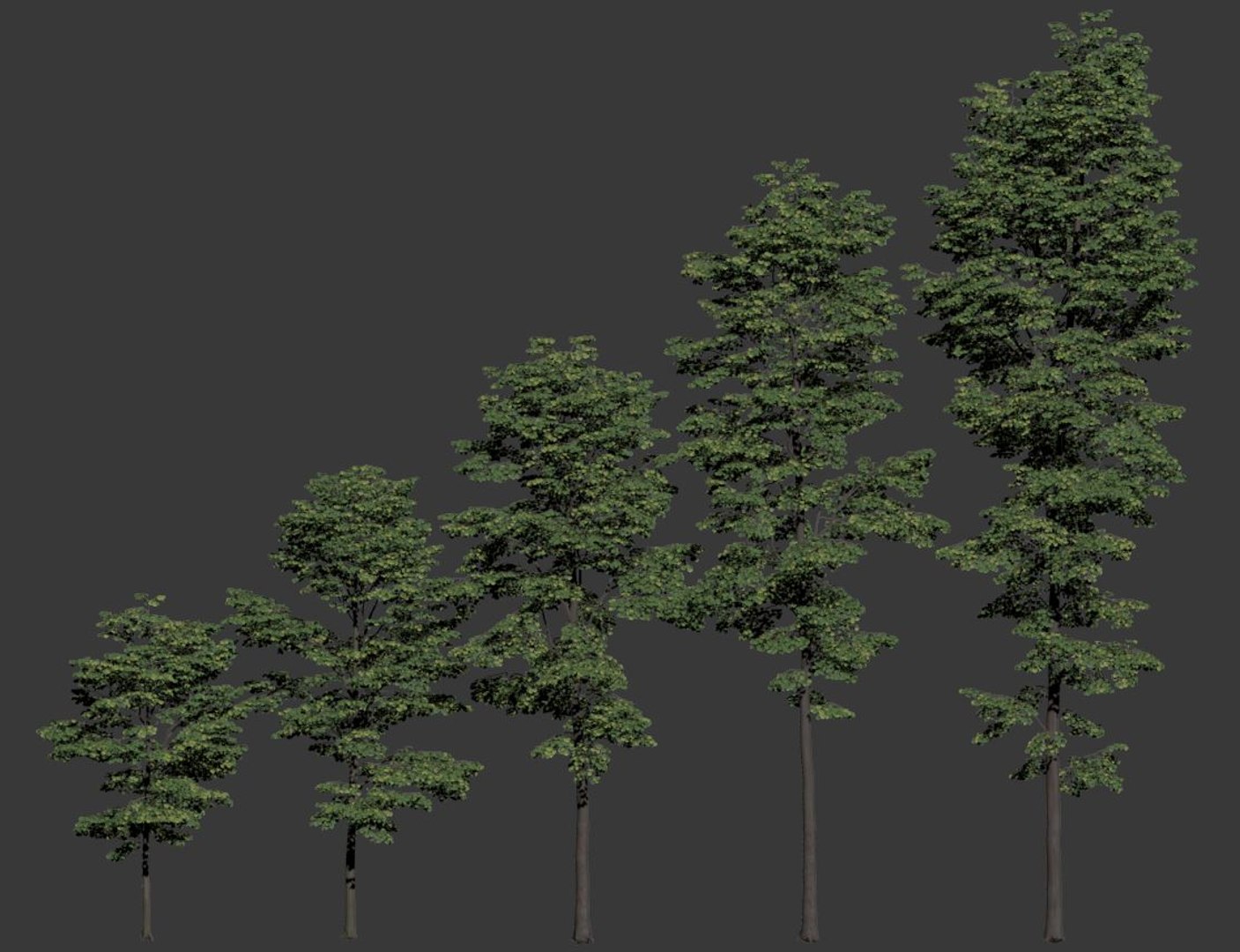 tilia trees model https://p.turbosquid.com/ts-thumb/ym/CYjd0F/Ivk47lIr/tilia7/jpg/1565031343/1920x1080/fit_q87/68d7b0da17e596fd396af89b999c465a934ee624/tilia7.jpg