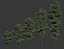 Tilia europaea #8. H7-19m. Five tree forest set