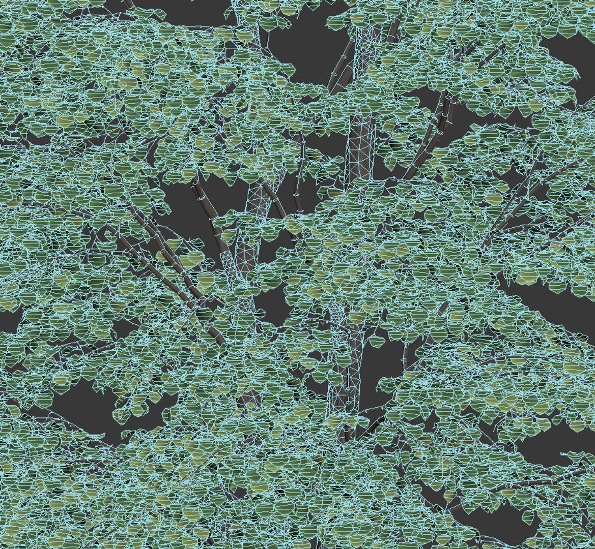 tilia trees model https://p.turbosquid.com/ts-thumb/ym/CYjd0F/JNJMMOFe/tilia8/jpg/1565031343/1920x1080/fit_q87/6ccc0e1081437e90a99ef07c2b8198997fec433b/tilia8.jpg