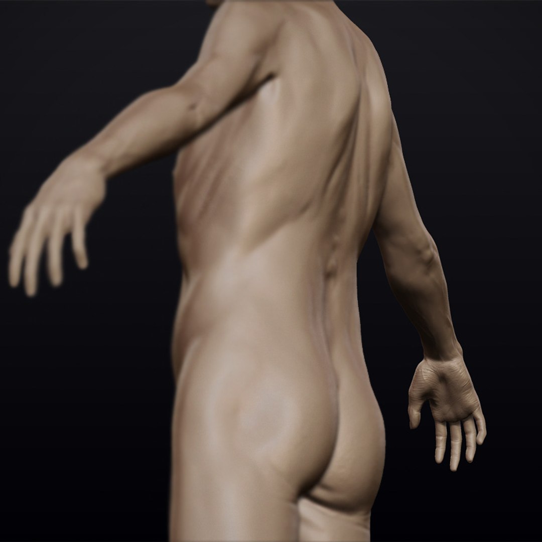 3d model hyper-real old man anatomy https://p.turbosquid.com/ts-thumb/ym/EbwVOG/Rv8RezZo/olderman11/jpg/1239231912/1920x1080/fit_q87/101b3e3180c8ba7b20a55cbe6bc2b88e3c232a98/olderman11.jpg
