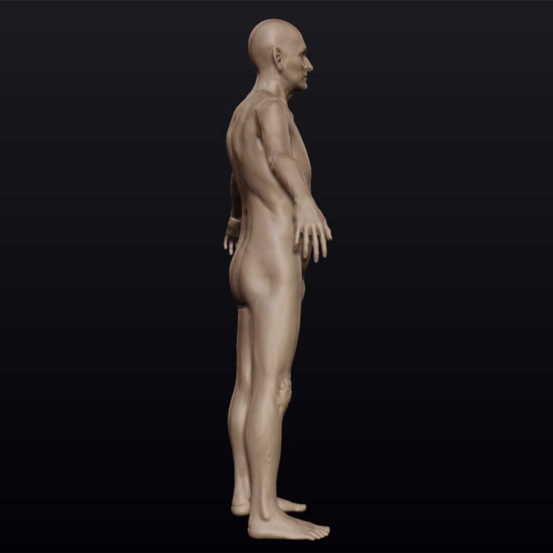 3d Model Hyper-real Old Man Anatomy