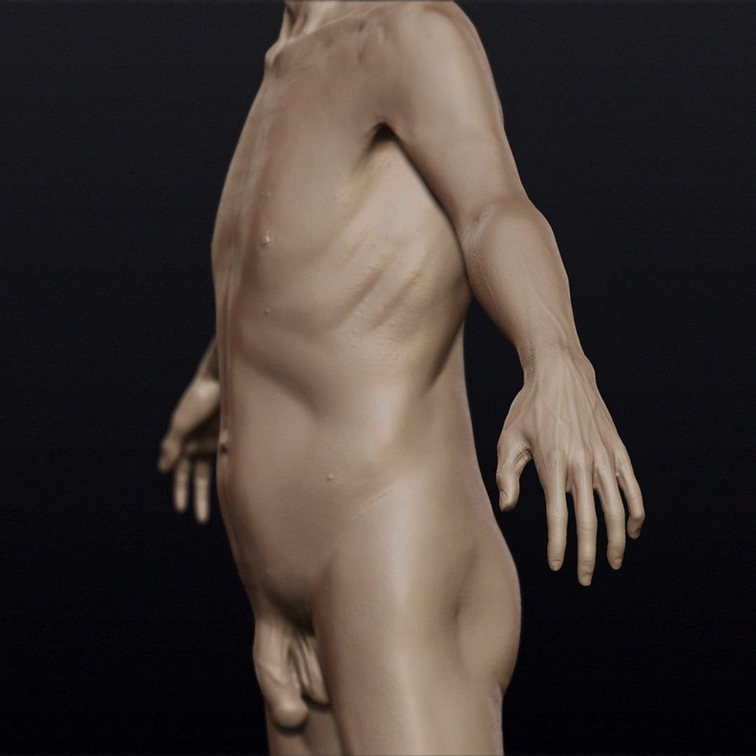 3d model hyper-real old man anatomy https://p.turbosquid.com/ts-thumb/ym/EbwVOG/oTJr4g1q/olderman10/jpg/1239231618/1920x1080/fit_q87/7de1327b2e8a361bdb3bcf14b5bdbeeff1291a7d/olderman10.jpg