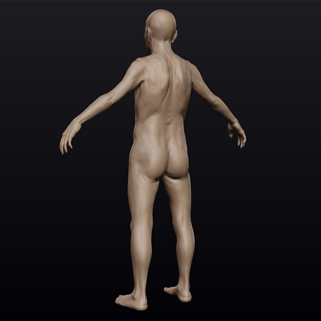 3d model hyper-real old man anatomy https://p.turbosquid.com/ts-thumb/ym/EbwVOG/snNohFV0/olderman5/jpg/1239231646/1920x1080/fit_q87/147aceb7bd43640a67c025218629b366caeb4d97/olderman5.jpg