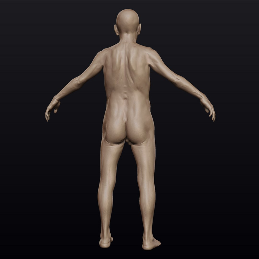 3d model hyper-real old man anatomy https://p.turbosquid.com/ts-thumb/ym/EbwVOG/vzadhRac/olderman4/jpg/1239231639/1920x1080/fit_q87/7766a0110f777dea576e10f9e0aa2383173e3002/olderman4.jpg