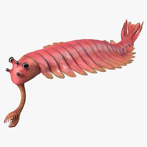 Pink Opabinia Rigged 3D model