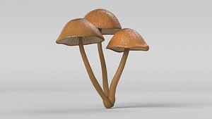 3D mushroom cluster