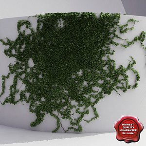 Wall with ivy V2