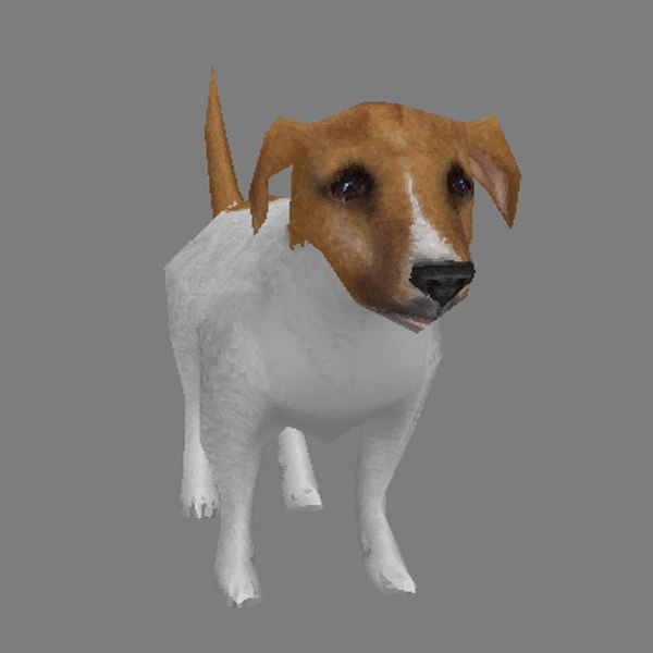 Max jack russell sales terrier