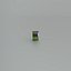 Conserves de pois en conserve