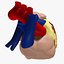 Human Heart closed