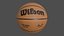 Basketball Ball Collection StemCell