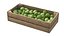 Guava Wooden Crate