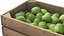 Guava Wooden Crate