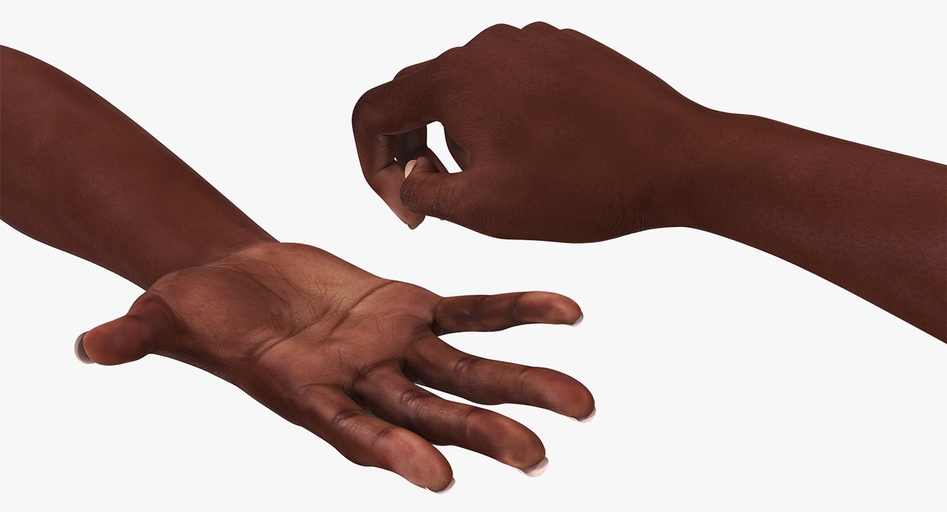African Female Hand Short Nails Rigged for Maya 3D Model 3D model preview