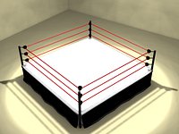 Wrestling Ring