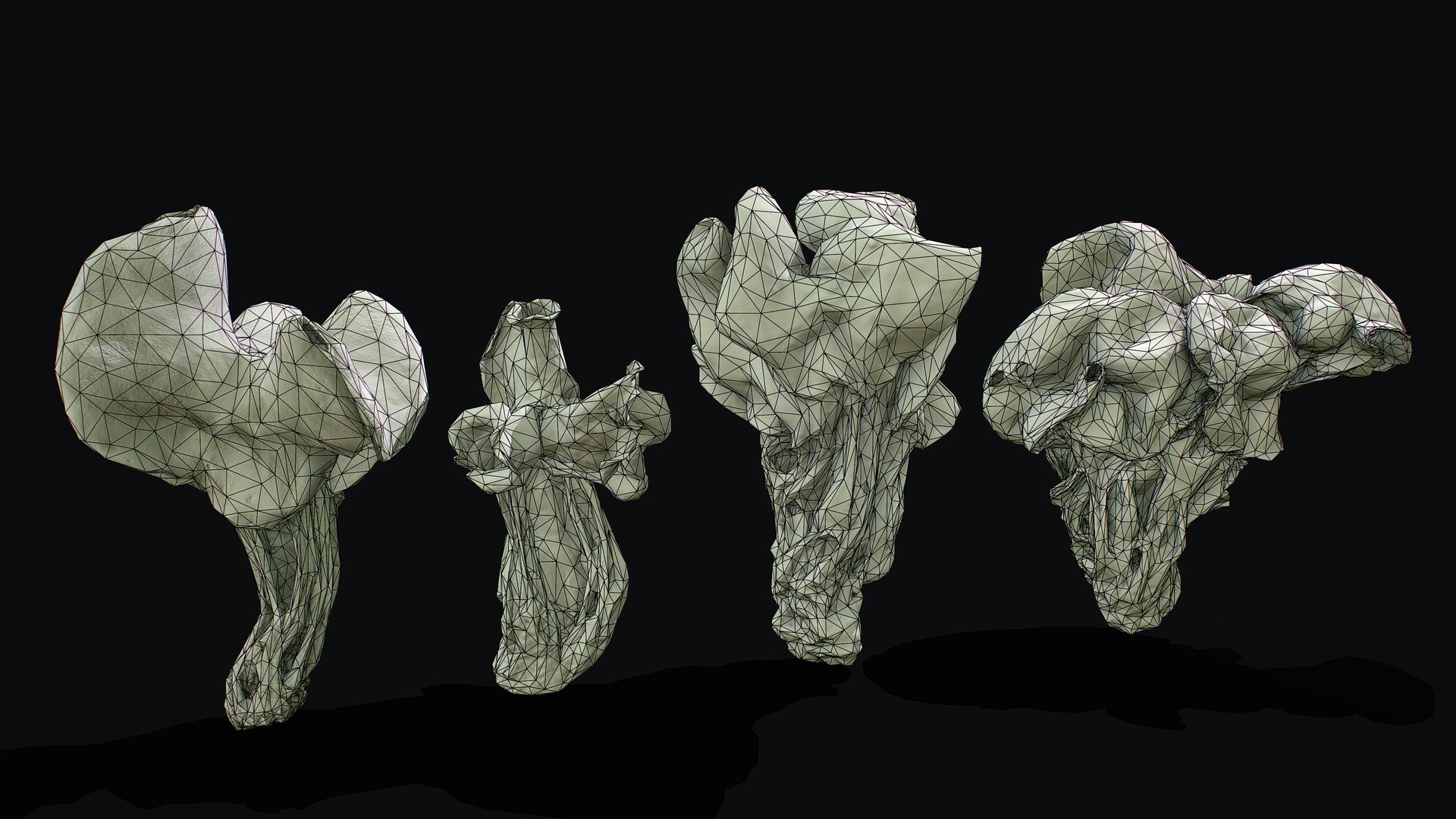 ready helvella lacunosa fungi 3D model https://p.turbosquid.com/ts-thumb/yn/HfSk6q/1ou8Txkj/2/png/1591658110/1920x1080/fit_q87/f9d6d7550d5ae2eab6c928af877d7e21e11f46ad/2.jpg