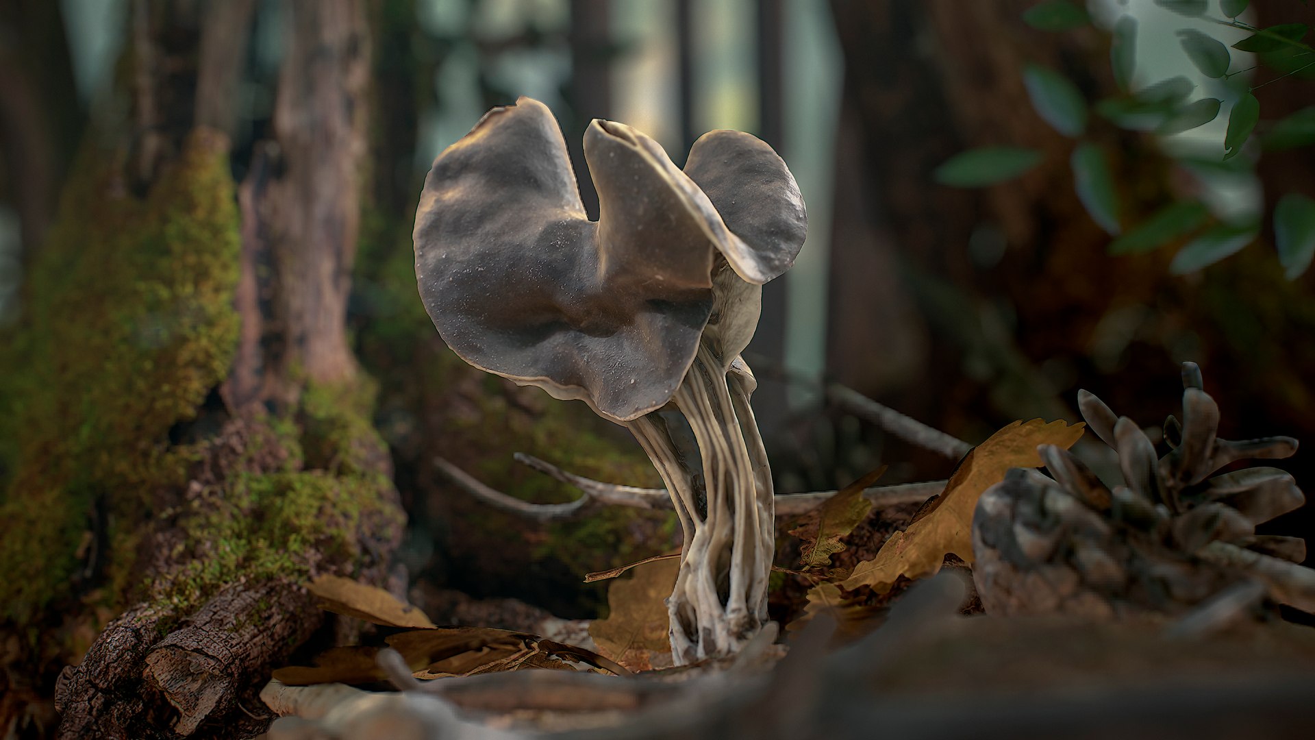 ready helvella lacunosa fungi 3D model https://p.turbosquid.com/ts-thumb/yn/HfSk6q/EqNOsAJz/helvella1/jpg/1591658131/1920x1080/fit_q87/6d4f0884e6c5e2cbeb95efe2627e798899874b58/helvella1.jpg