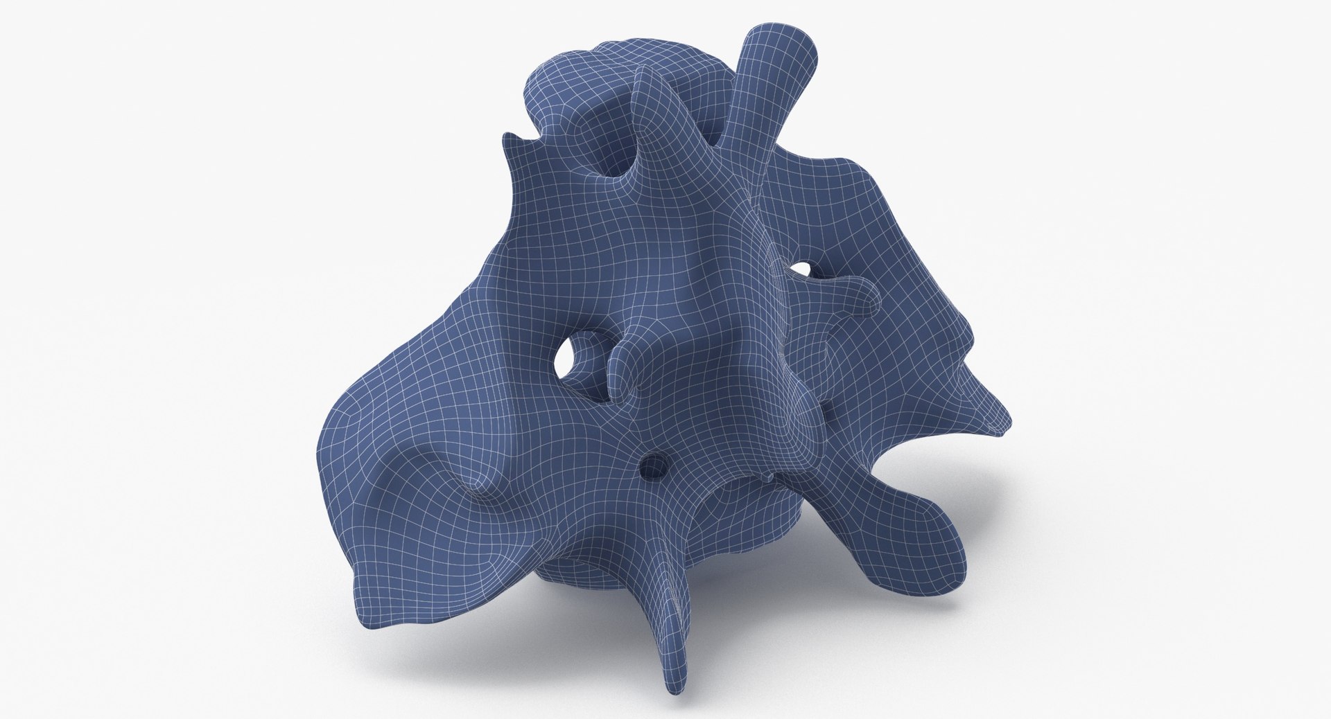 Kangaroo Red Necked Wallaby Sacrum model https://p.turbosquid.com/ts-thumb/yn/Il3Efw/5v/kangaroo_red_necked_wallaby_sacrum_wireframe_0002/jpg/1695824502/1920x1080/fit_q87/9f7d2e85a863706a78f710b54b2ab779586d006d/kangaroo_red_necked_wallaby_sacrum_wireframe_0002.jpg