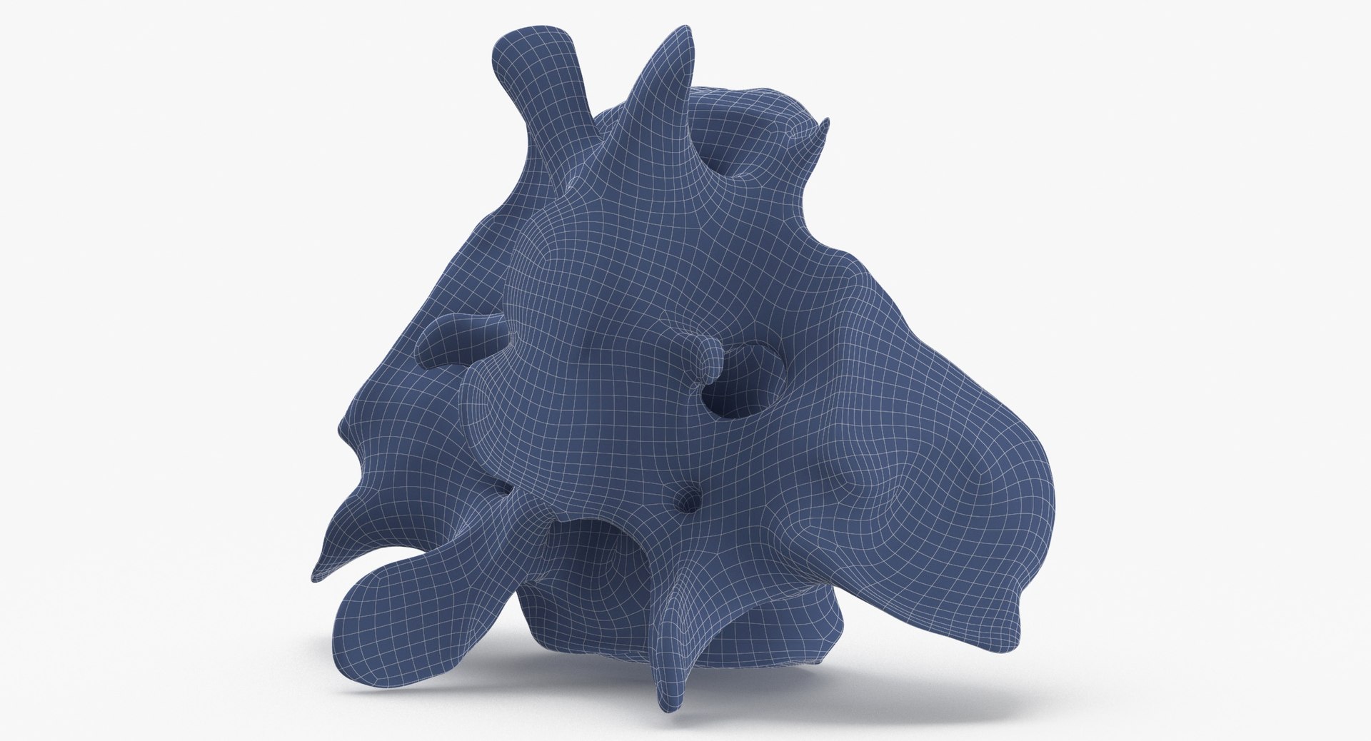 Kangaroo Red Necked Wallaby Sacrum model https://p.turbosquid.com/ts-thumb/yn/Il3Efw/Nr/kangaroo_red_necked_wallaby_sacrum_wireframe_0004/jpg/1695824510/1920x1080/fit_q87/0ab4215bd0060bde9e67bc0bd16e254cd1911a52/kangaroo_red_necked_wallaby_sacrum_wireframe_0004.jpg