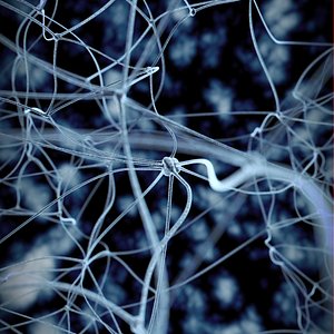 neurons max