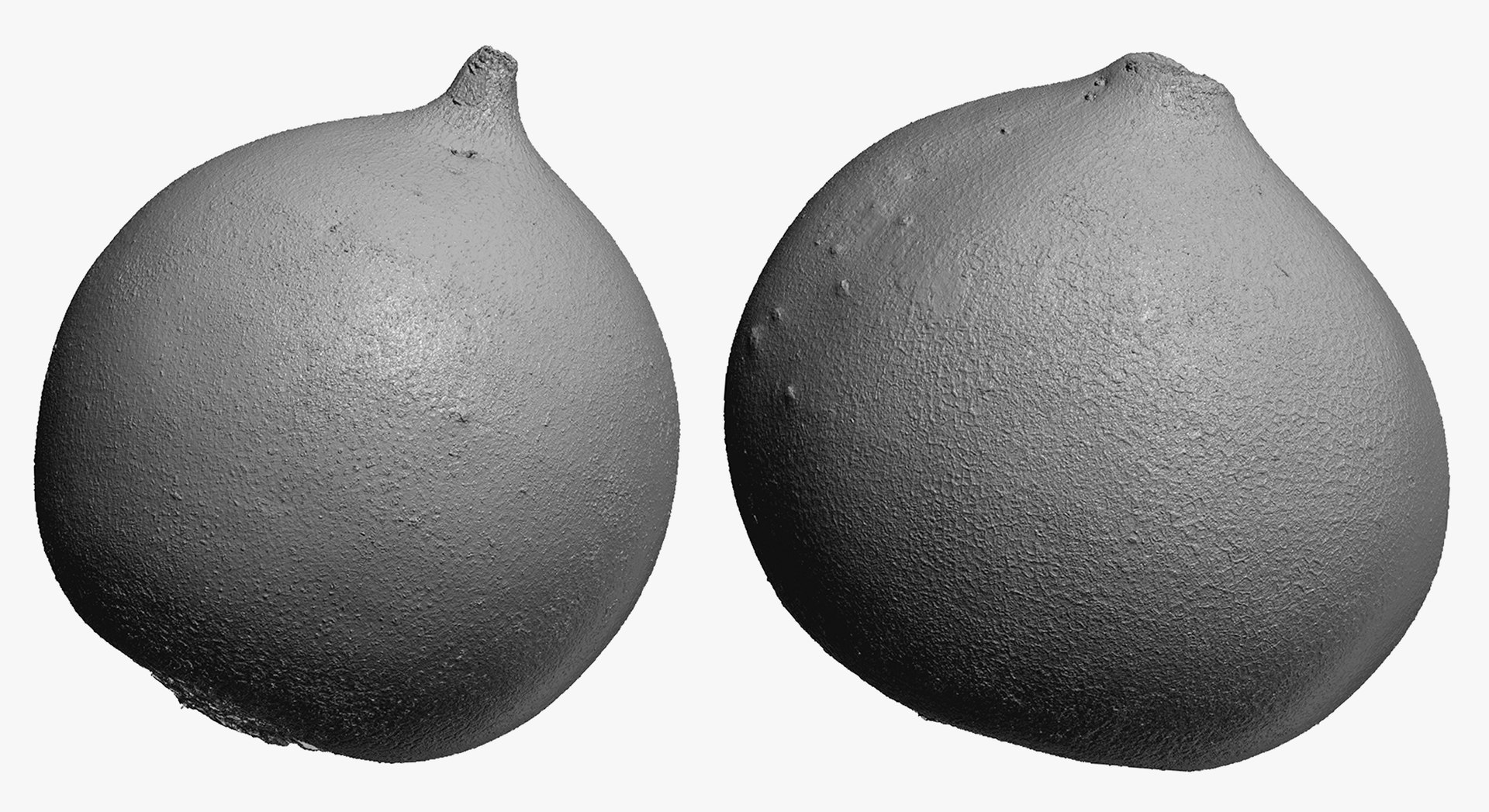 3D Turnips Black Collection 03 - 2 models RAW Scans model https://p.turbosquid.com/ts-thumb/yn/ORzuGj/4v/47f/jpg/1641458510/1920x1080/fit_q87/71f2d2a76489f0c6b22048b922f65067314d5b9d/47f.jpg