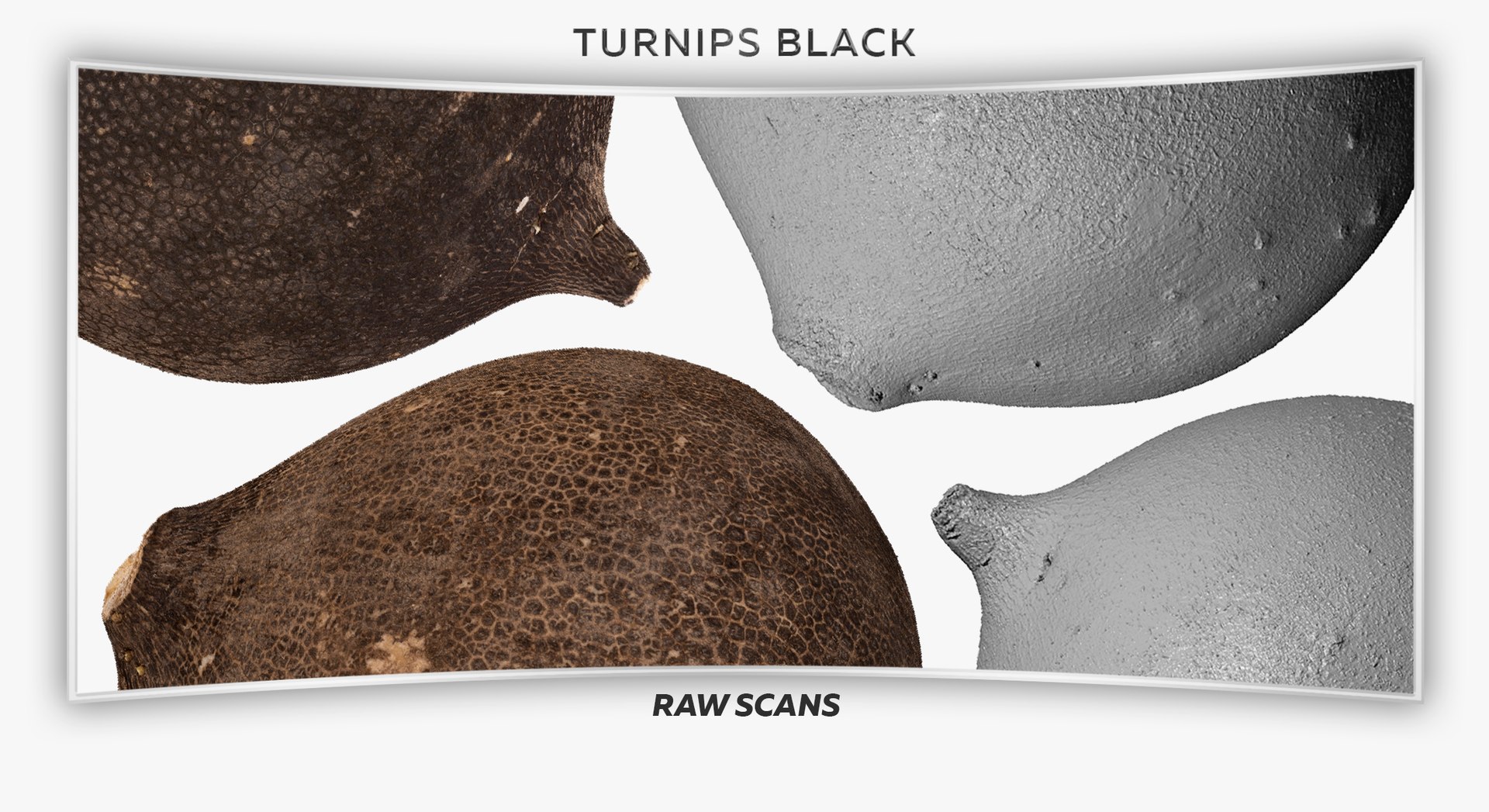 3D Turnips Black Collection 03 - 2 models RAW Scans model https://p.turbosquid.com/ts-thumb/yn/ORzuGj/57/69ts/jpg/1641458417/1920x1080/fit_q87/3321440450b07a28b03185bce425e73c9c1473f8/69ts.jpg