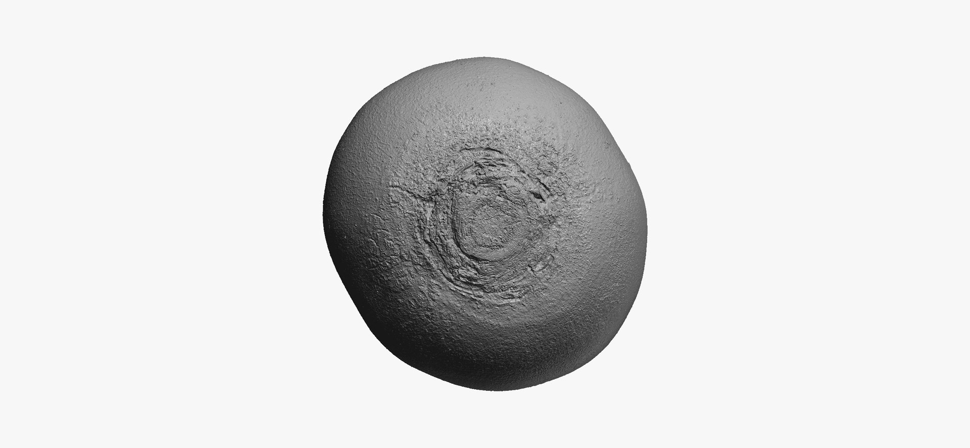 3D Turnips Black Collection 03 - 2 models RAW Scans model https://p.turbosquid.com/ts-thumb/yn/ORzuGj/Qq/turnipblack05thumbnail10/jpg/1641458509/1920x1080/fit_q87/cf44ad159d53bf1a0261604ec59ded86601c694a/turnipblack05thumbnail10.jpg