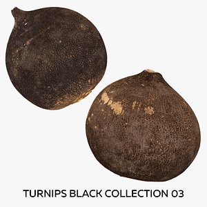 3D Turnips Black Collection 03 - 2 models RAW Scans model