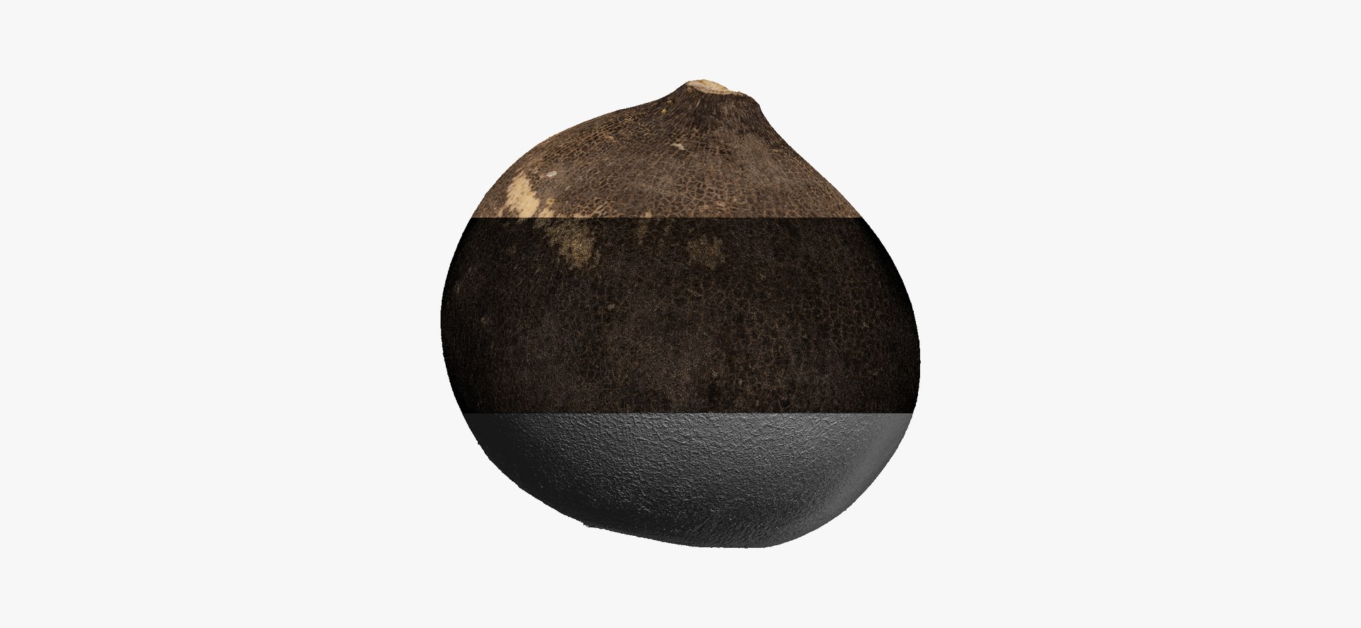 3D Turnips Black Collection 03 - 2 models RAW Scans model https://p.turbosquid.com/ts-thumb/yn/ORzuGj/hj/turnipblack05thumbnail06/jpg/1641458538/1920x1080/fit_q87/82e69a79d2c2f6af13390e807ecea55e54c77d18/turnipblack05thumbnail06.jpg