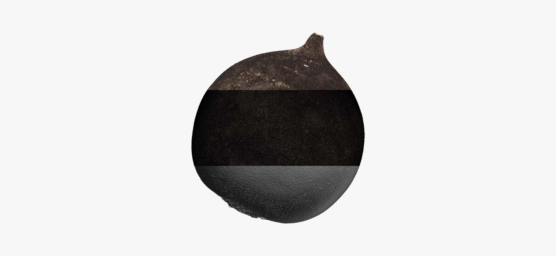 3D Turnips Black Collection 03 - 2 models RAW Scans model https://p.turbosquid.com/ts-thumb/yn/ORzuGj/qG/turnipblack06thumbnail06/jpg/1641458537/1920x1080/fit_q87/57d9d1a477474963ee5a9bbb6824faf0bb1d2e6a/turnipblack06thumbnail06.jpg