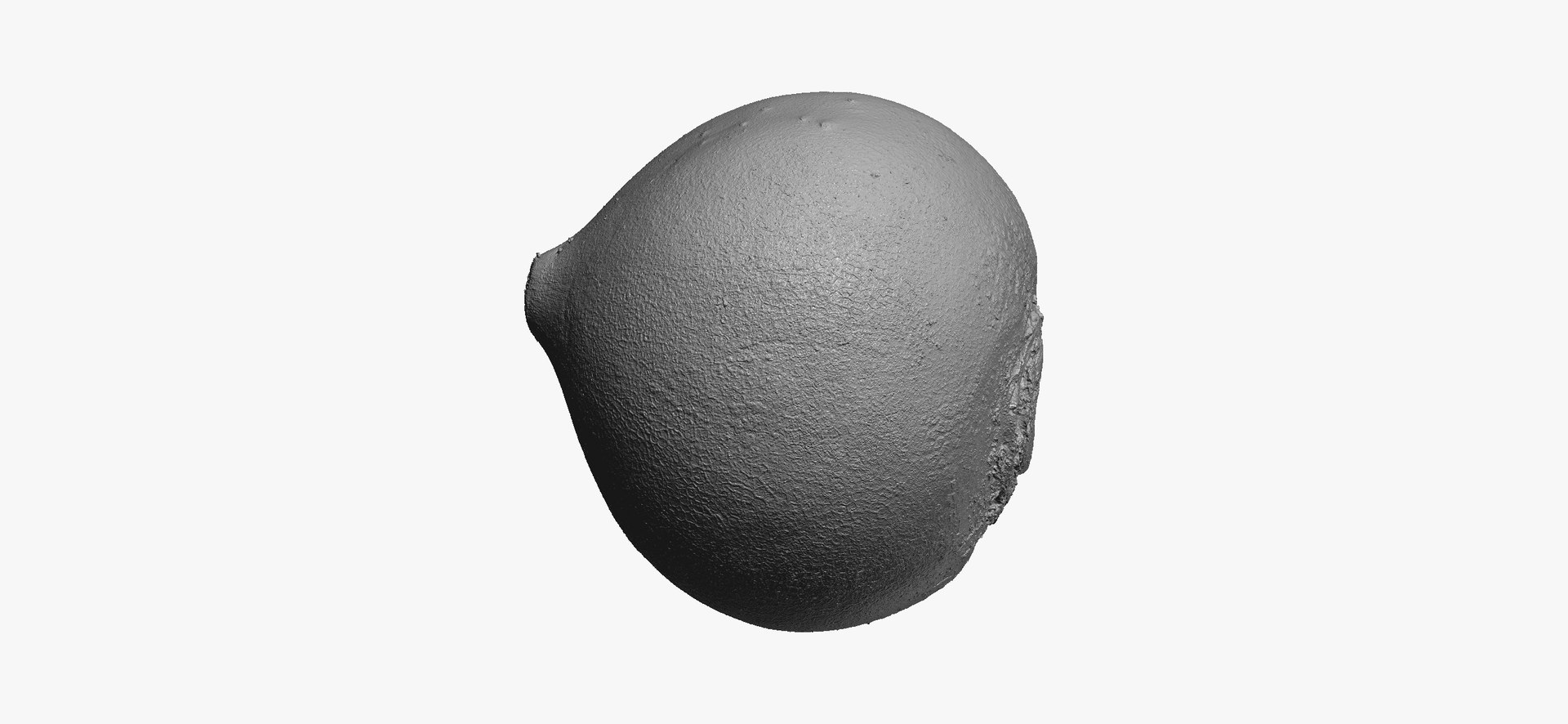 3D Turnips Black Collection 03 - 2 models RAW Scans model https://p.turbosquid.com/ts-thumb/yn/ORzuGj/qm/turnipblack05thumbnail12/jpg/1641458508/1920x1080/fit_q87/9e615ed8fca0236ce74e6447ab6e80b6d18d334e/turnipblack05thumbnail12.jpg