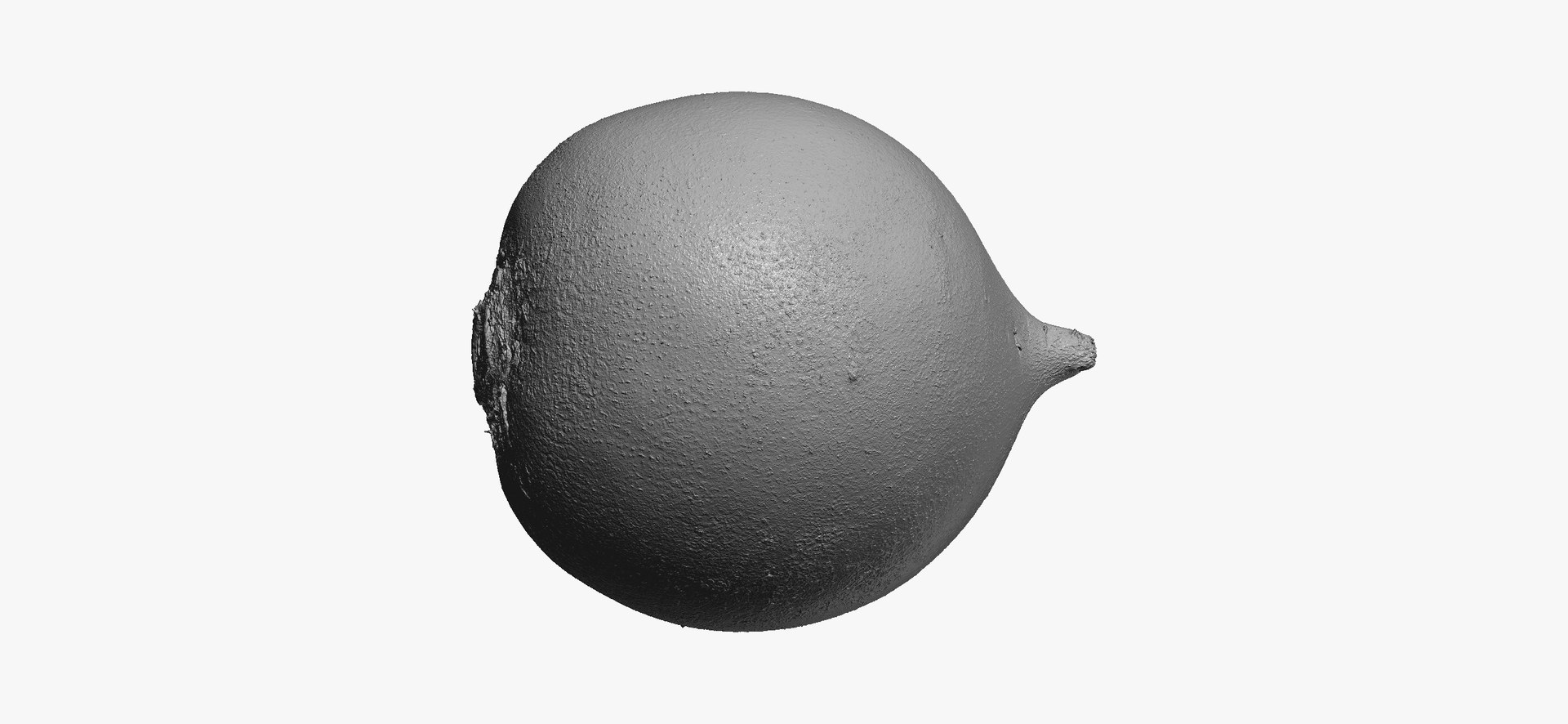 3D Turnips Black Collection 03 - 2 models RAW Scans model https://p.turbosquid.com/ts-thumb/yn/ORzuGj/qr/turnipblack06thumbnail12/jpg/1641458510/1920x1080/fit_q87/5c3f2053e19d4edca8906520cf94c584683e16b7/turnipblack06thumbnail12.jpg