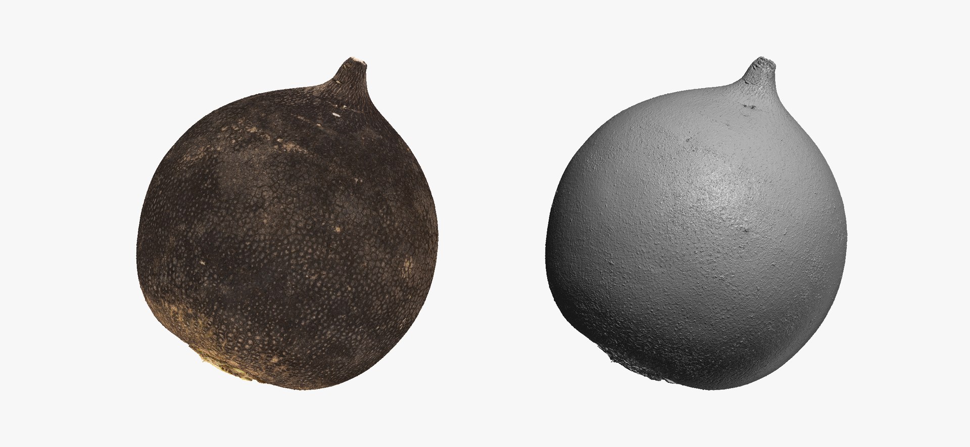 3D Turnips Black Collection 03 - 2 models RAW Scans model https://p.turbosquid.com/ts-thumb/yn/ORzuGj/tB/turnipblack06thumbnail03/jpg/1608113095/1920x1080/fit_q87/a3e39a745820f0ab23d6b758ca2451785c309d0f/turnipblack06thumbnail03.jpg