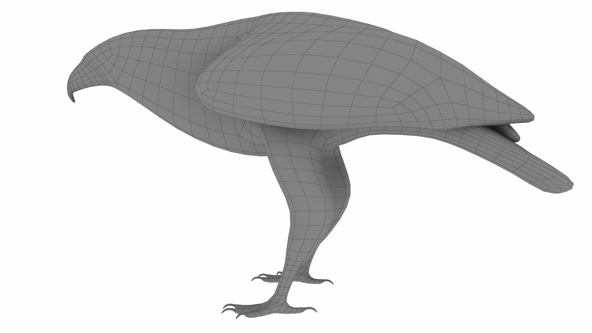 3D Harris Hawk Model - TurboSquid 2338161
