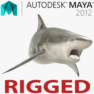 pigeye shark rigged 3d model