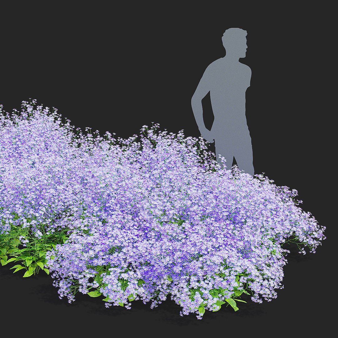 Symphyotrichum oolentangiense flower model https://p.turbosquid.com/ts-thumb/yn/duMhl9/Sz/symphyotrichum_oolentangiense_view_004/jpg/1707909918/1920x1080/fit_q87/a2ec4d3acf21dde9425f9e4e95b51cd0dc2dc380/symphyotrichum_oolentangiense_view_004.jpg